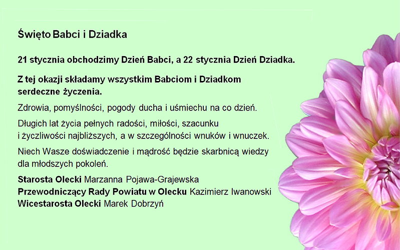 Po lewej tekst: 21 stycznia obchodzimy Dzień Babci, a 22 stycznia Dzień Dziadka. Z tej okazji składamy wszystkim Babciom i Dziadkom serdeczne życzenia. Zdrowia, pomyślności, pogody ducha i uśmiechu na co dzień. Długich lat życia pełnych radości, miłości, szacunku i życzliwości najbliższych, a w szczególności wnuków i wnuczek. Niech Wasze doświadczenie i mądrość będzie skarbnicą wiedzy dla młodszych pokoleń. Starosta Olecki Marzanna Pojawa-Grajewska, Przewodniczący Rady Powiatu w Olecku Kazimierz Iwanowski, Wicestarosta Olecki Marek Dobrzyń. Po prawej kwiatek.