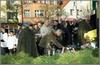 Kliknij aby obejrzec w pelnym rozmiarze 