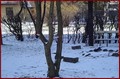 Kliknij aby obejrzec w pelnym rozmiarze 