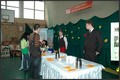 Kliknij aby obejrzec w pelnym rozmiarze