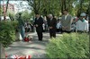 Kliknij aby obejrzec w pelnym rozmiarze 