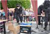 Kliknij aby obejrzec w pelnym rozmiarze 