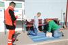 Kliknij aby obejrzec w pelnym rozmiarze 