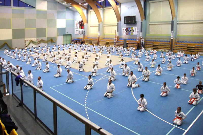 Karateccy podczas treningu