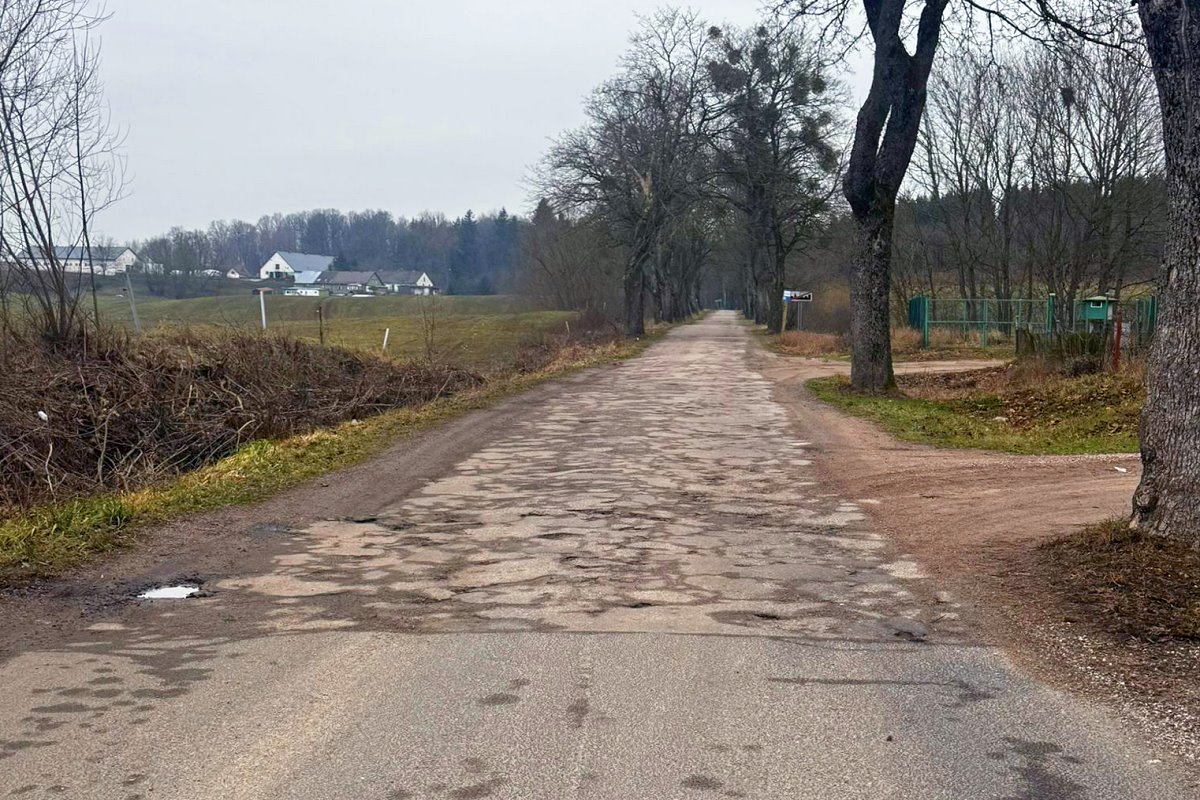 Droga. Są na niej dziury. Po obu jej stronach budynki, ogrodzenia, drzewa, trawy, rośliny.